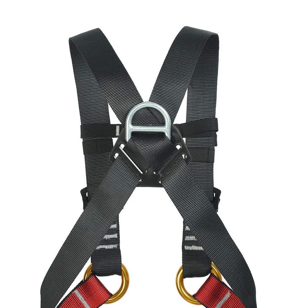 어린이 실내 확장 전신 하네스 야외 암벽 등반 야외 보 - Kids Outdoor Gear 리뷰 및 가격